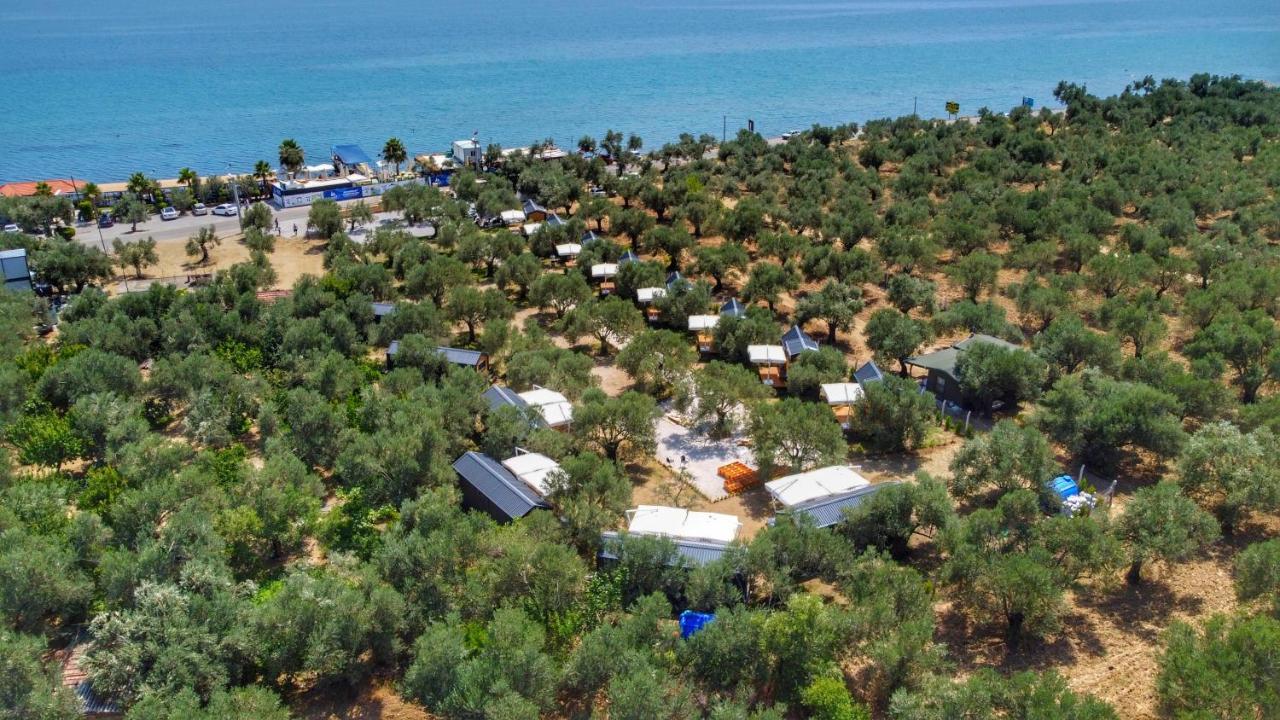 Gulet Tiny House Hotel Ayvacik Luaran gambar